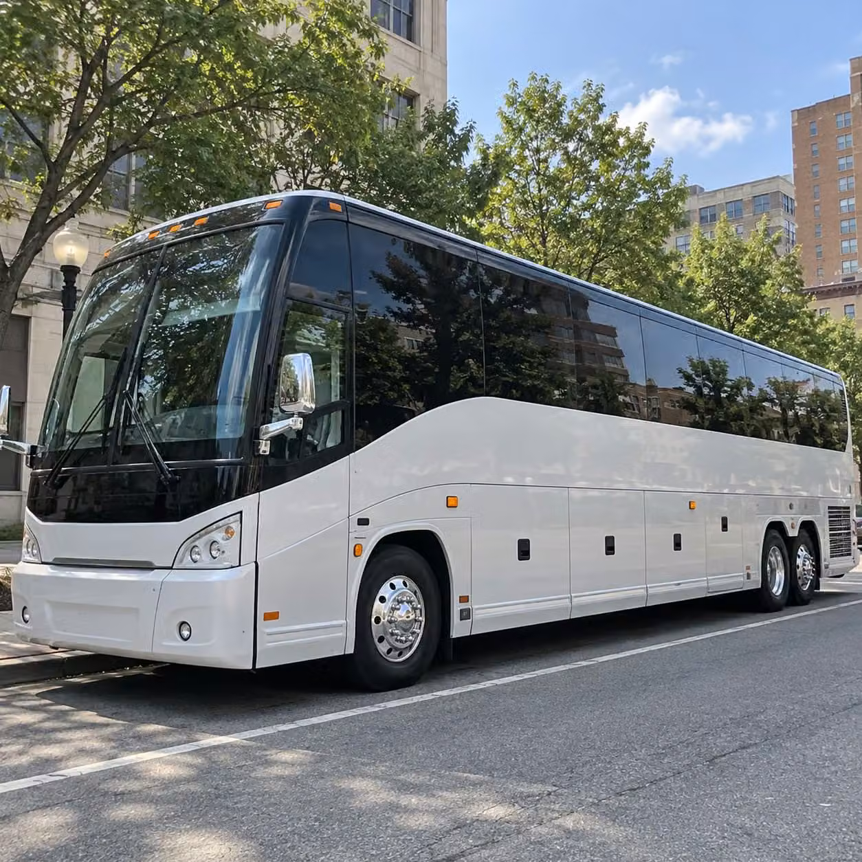because dallas zoo field trips deserve reliable comfortable transportation